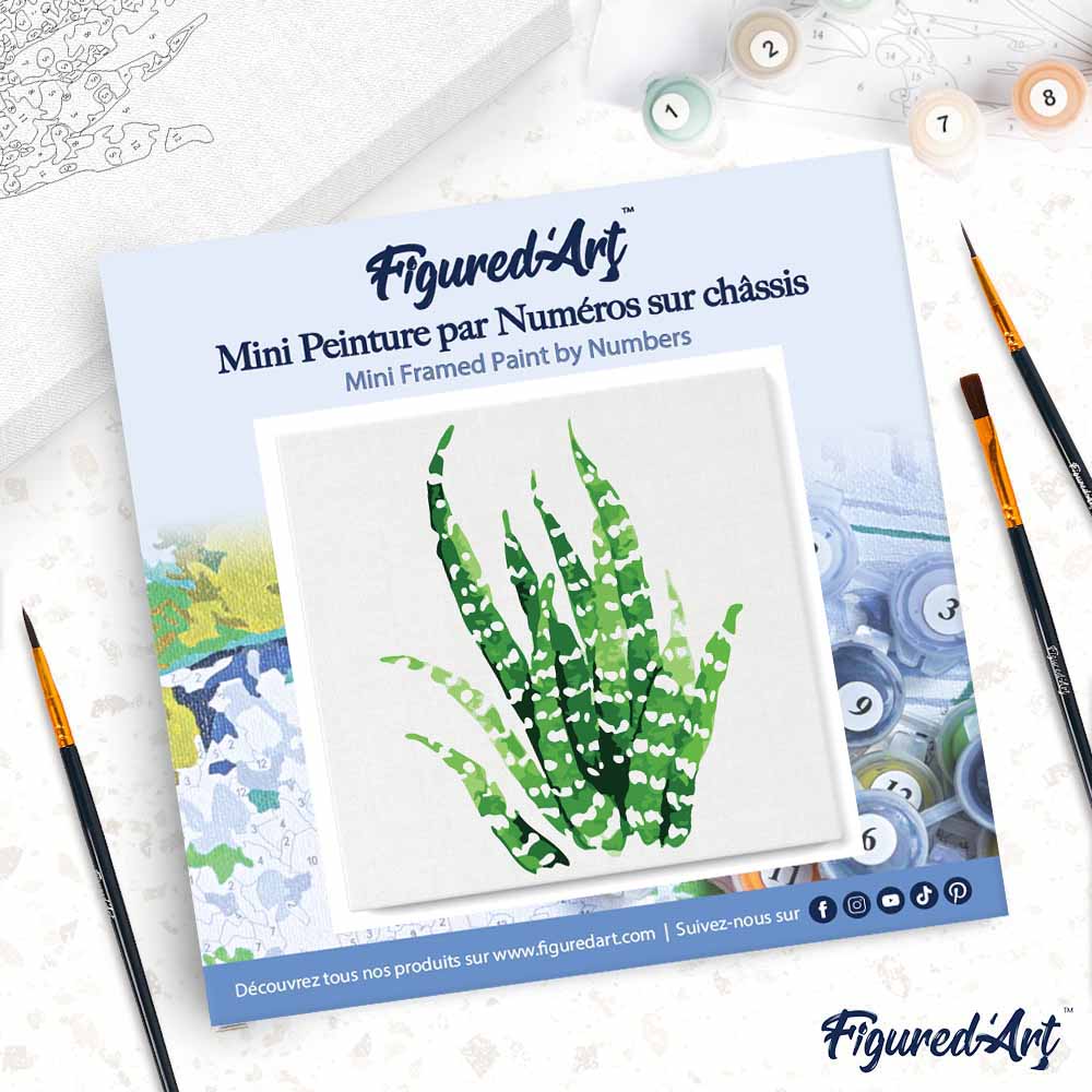 Mini Paint by numbers 8"x8" framed - Abstract Aloe Vera Plant - Image 4