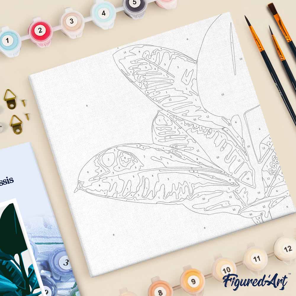 Mini Paint by numbers 8"x8" framed - Rubber Plant Leaves - Image 5